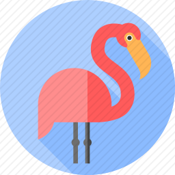 <em>火烈鸟</em>