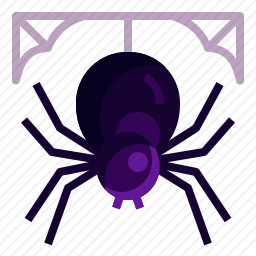 蜘蛛