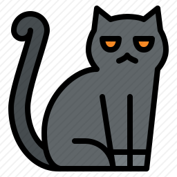 黑色的猫