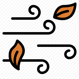 <em>风</em>