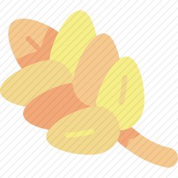 <em>小麦</em>