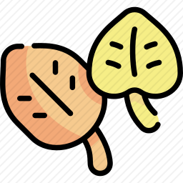 树叶
