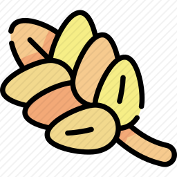 <em>小麦</em>
