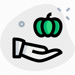 <em>南瓜</em>