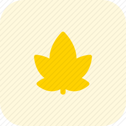 <em>叶子</em>