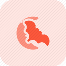 蝙蝠