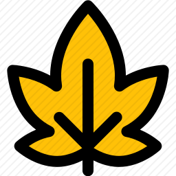 <em>叶子</em>
