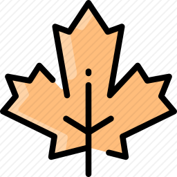 <em>叶子</em>