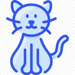 猫咪