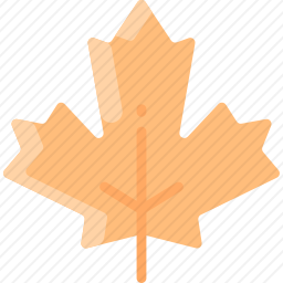 <em>叶子</em>