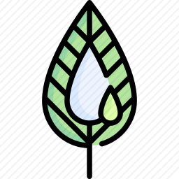 <em>叶子</em>