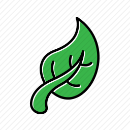 <em>叶子</em>