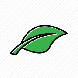 <em>叶子</em>