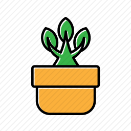 <em>植物</em>
