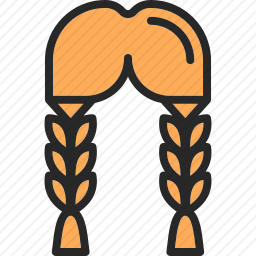 <em>辫子</em>