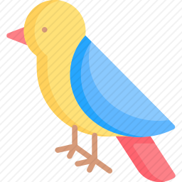 鸟