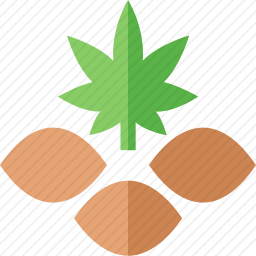 大麻