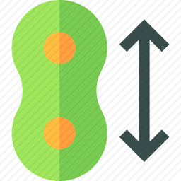 <em>细胞</em>
