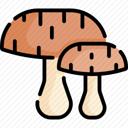 蘑菇