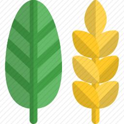 收成