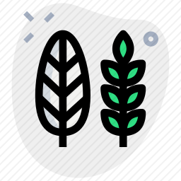 收成
