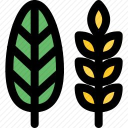 收成