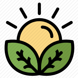 <em>农作物</em>