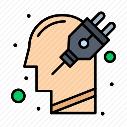 <em>插头</em>