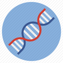 DNA