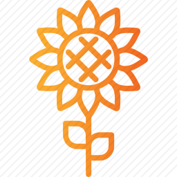 <em>向日葵</em>