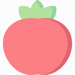 <em>番茄</em>