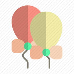 气球