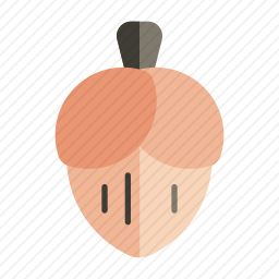 榛子