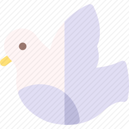 鸽子