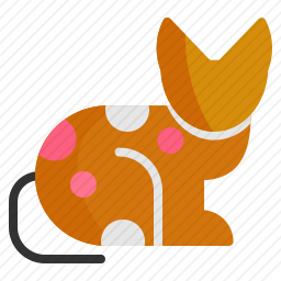 猫