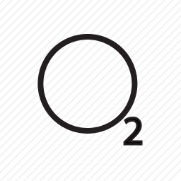<em>氧气</em>