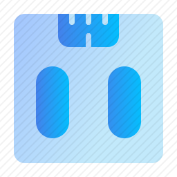 <em>体重秤</em>