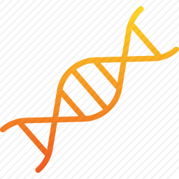 DNA