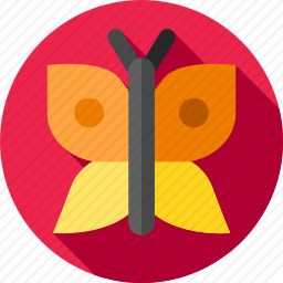 <em>蝴蝶</em>