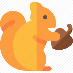 松鼠