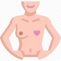乳房