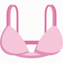 <em>胸罩</em>