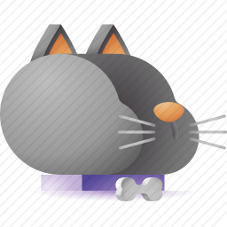 猫咪