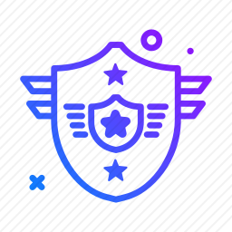 <em>军事</em>盾牌