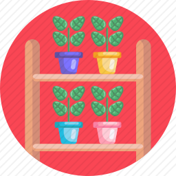 植物