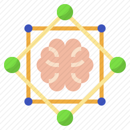 <em>大脑</em>