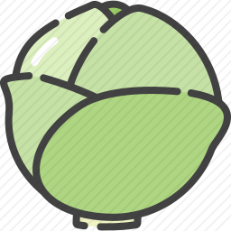 <em>白菜</em>
