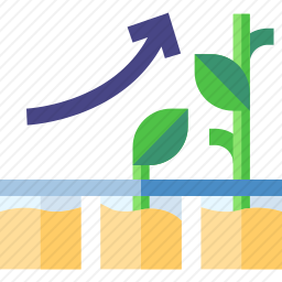 植物
