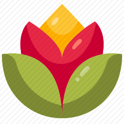 莲花