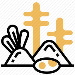 珊瑚礁